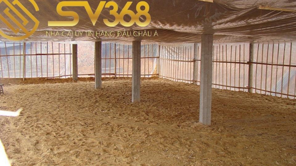 Hướng Dẫn Cách Làm Chuồng Bay Cho Gà Đá Siêu Đẹp Tại SV368 4 Làm đệm lót sinh học cho chuồng bay gà đá