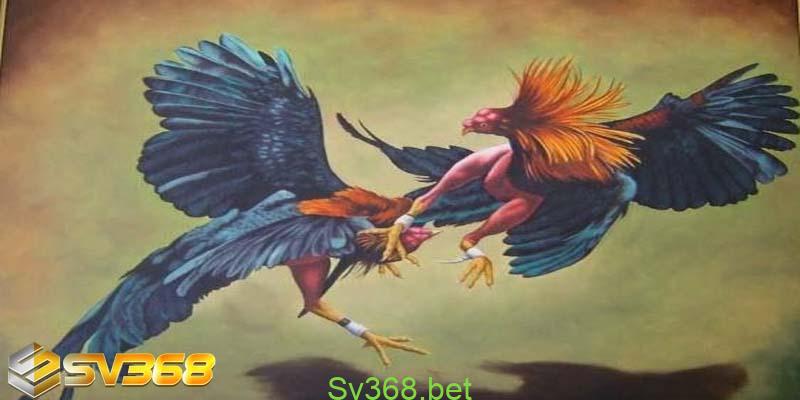 Chơi Đá Gà Tại Nhà Cái Nào Uy Tín Nhất - Sv368 3 Sơ lược về chơi đá gà tại nhà cái nào uy tín