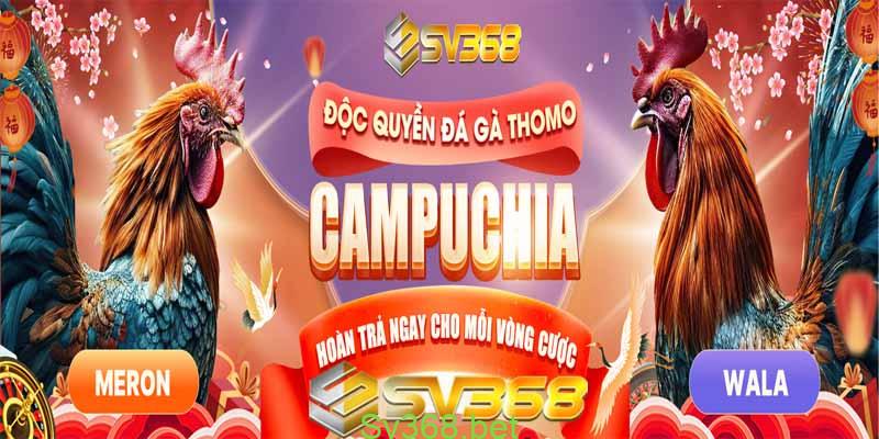 Khuyến Mãi Dành Cho Đá Gà Tại Nhà Cái Sv368 2 Chương trình khuyến mãi cực khủng tại Sv368