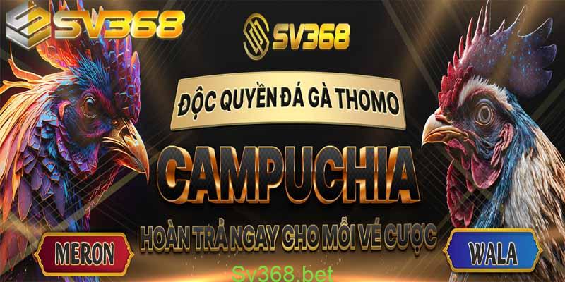 Khuyến Mãi Dành Cho Đá Gà Tại Nhà Cái Sv368 3 Khuyến mãi dành cho đá gà tại SV368