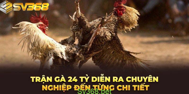 Trận đá gà 24 tỷ lớn nhất lịch sử Việt Nam | SV368 1 Thông tin trận đá gà 24 tỷ – nhà cái Sv368