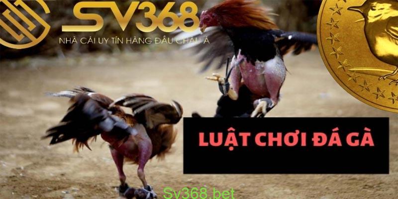 Đá Gà Sv368 - Trang Giải Trí Đá Gà Uy Tín Năm 2025 3 Đá gà sv368