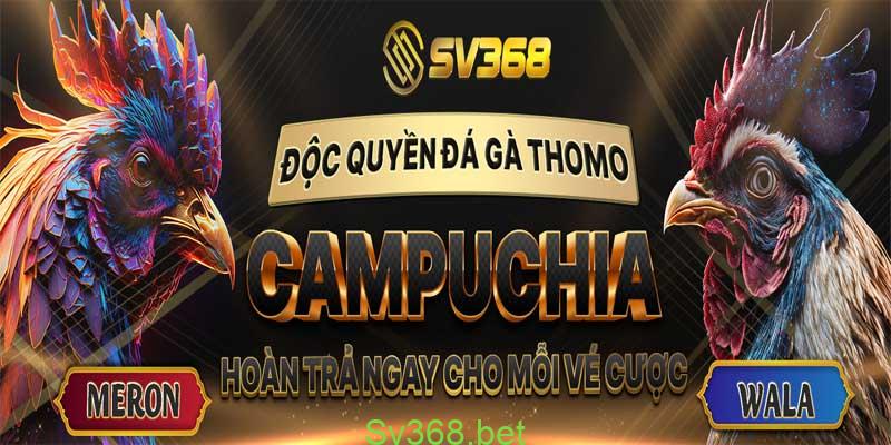Đá Gà Sv368 - Trang Giải Trí Đá Gà Uy Tín Năm 2025 4 Đá gà sv368