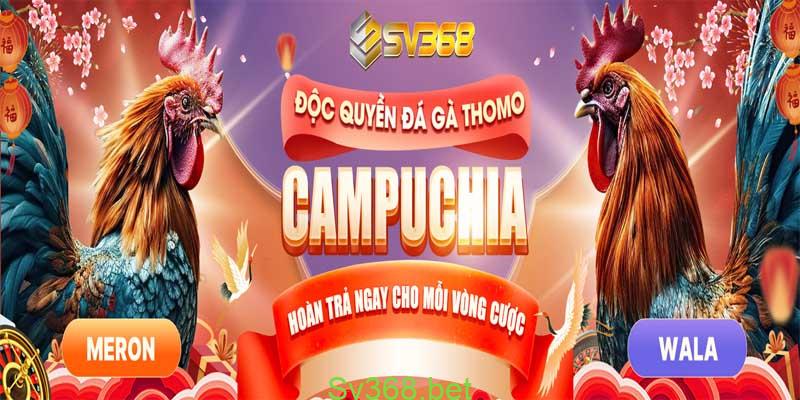 Đá Gà Sv368 - Trang Giải Trí Đá Gà Uy Tín Năm 2025 5 Đá gà sv368