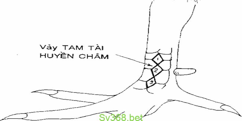 vảy gà tài Vảy gà đá tam tài huyền trâm